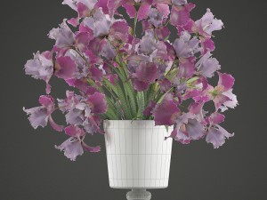 flower bouquet of iris Modèle 3D