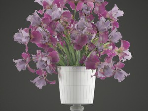 flower bouquet of iris Modèle 3D