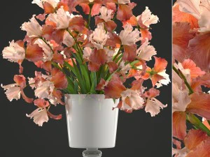 bukiet kwiat&oacute;w irysa Model 3D