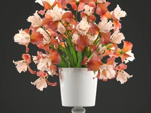 flower bouquet of iris 3D Model