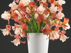 flower bouquet of iris 3D Model