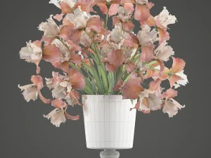 flower bouquet of iris 3D Model