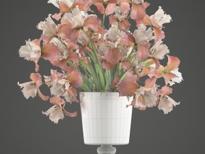flower bouquet of iris Model 3D