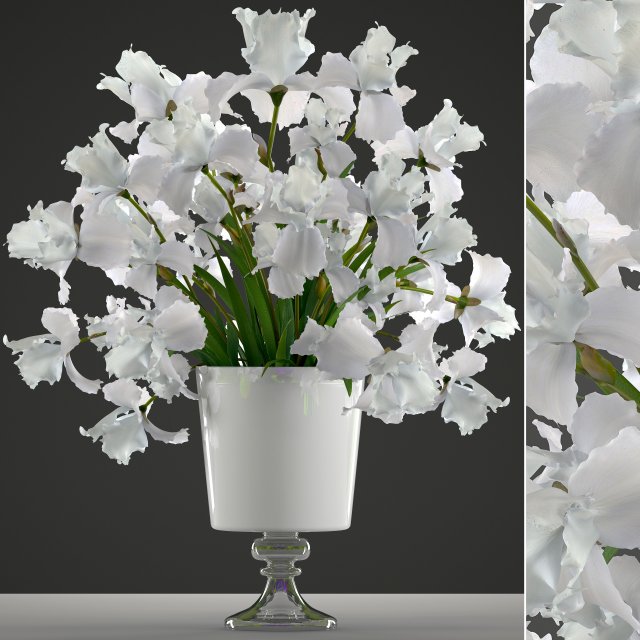 flower bouquet of iris Model 3D .c4d .max .obj .3ds .fbx .stl .blend 