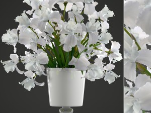 flower bouquet of iris 3D Model