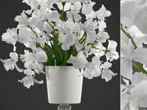buket bunga iris Model 3D