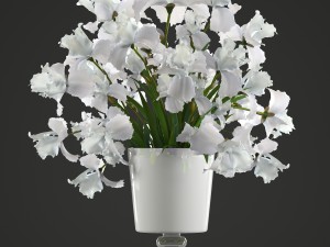 flower bouquet of iris Model 3D