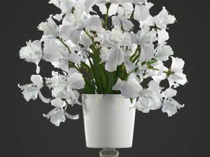 flower bouquet of iris 3D Model