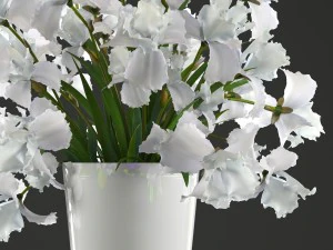 flower bouquet of iris 3D Model