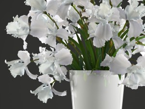 flower bouquet of iris Model 3D