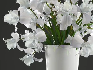 flower bouquet of iris 3D Model