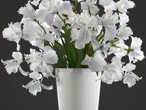 flower bouquet of iris Model 3D