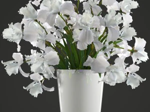 flower bouquet of iris 3D Model
