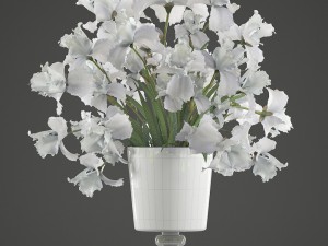 flower bouquet of iris Model 3D