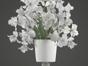flower bouquet of iris 3D Model