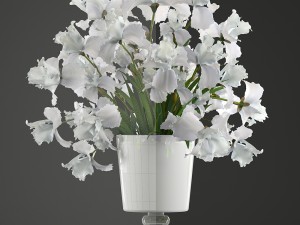 flower bouquet of iris Model 3D