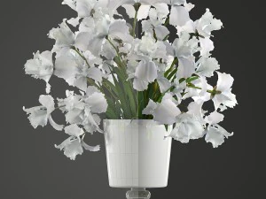 flower bouquet of iris 3D Model