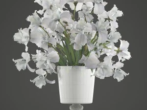 flower bouquet of iris 3D Model