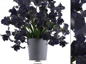 bouquet of black flowers 3D Model
