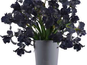 bouquet of black flowers Modello 3D