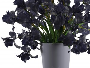 bouquet of black flowers Modello 3D