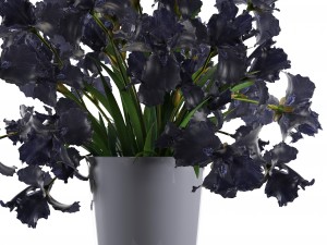 bouquet of black flowers Modello 3D