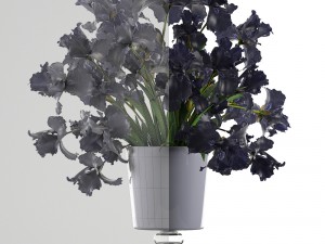 bouquet of black flowers Modello 3D