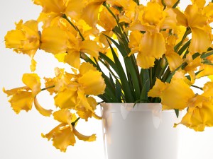 bouquet of yellow flowers 3D Model