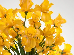 buqu&ecirc; de flores amarelas Modelo 3D