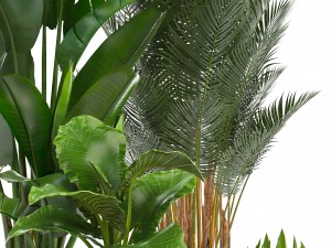 collection of ornamental plants in pots 3Dモデル