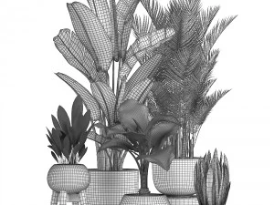 collection of ornamental plants in pots 3D Model
