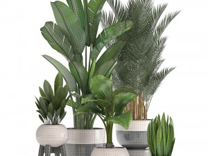 collection of ornamental plants in pots 3Dモデル