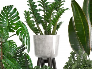 collection of ornamental plants in pots 3D Модель
