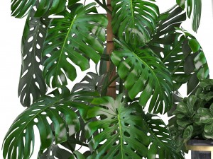 collection of ornamental plants in pots 3D Модель