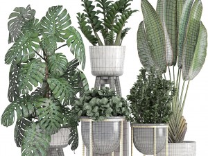 collection of ornamental plants in pots 3D Модель