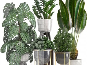 collection of ornamental plants in pots 3D Модель