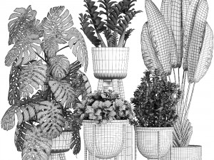 collection of ornamental plants in pots 3D Модель