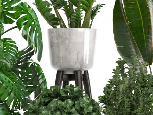collection of ornamental plants in pots 3D Модель