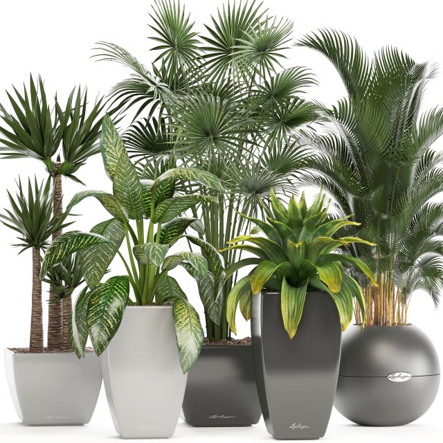 collection of plants in pots 3D Model .c4d .max .obj .3ds .fbx .stl .blend 