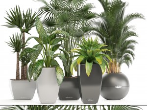 collection of plants in pots 3D Model