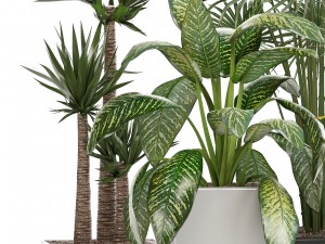 collection of plants in pots 3D Model
