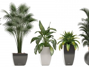 collection of plants in pots 3D Model