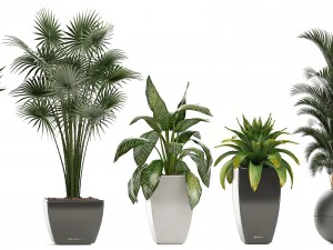 collection of plants in pots 3D Model