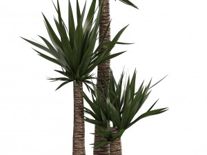 collection of plants in pots 3D Model