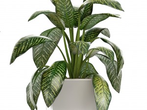 collection of plants in pots 3D Model