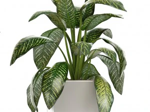 collection of plants in pots 3D Model