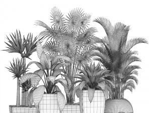 collection of plants in pots 3D Model