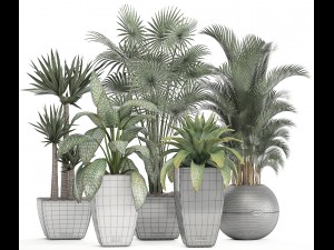 collection of plants in pots 3D Model