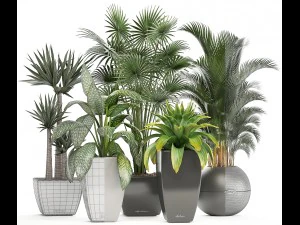 collection of plants in pots 3D Model