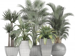 collection of plants in pots 3D Model